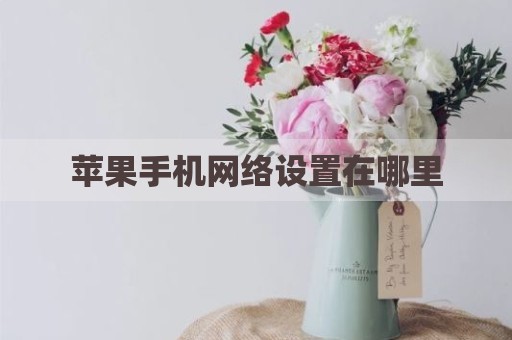 苹果手机网络设置在哪里