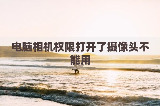电脑相机权限打开了摄像头不能用