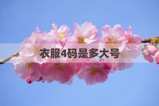 衣服4码是多大号