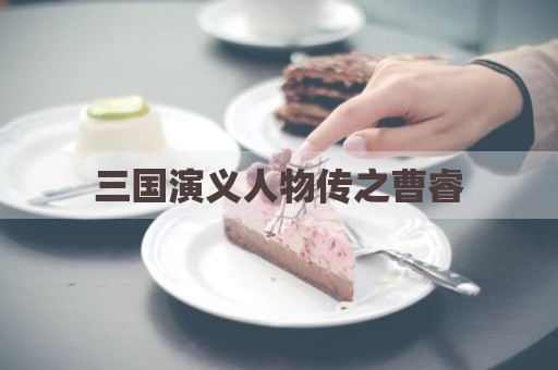 三国演义人物传之曹睿