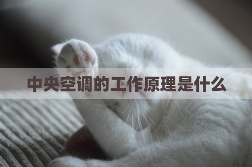 中央空调的工作原理是什么