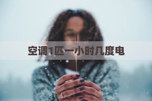 空调1匹一小时几度电
