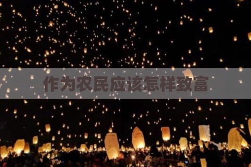 作为农民应该怎样致富