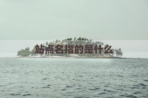 站点名指的是什么