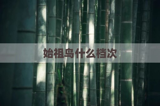 始祖鸟什么档次