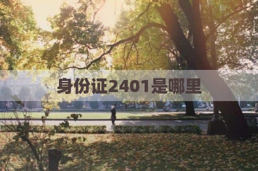 身份证2401是哪里