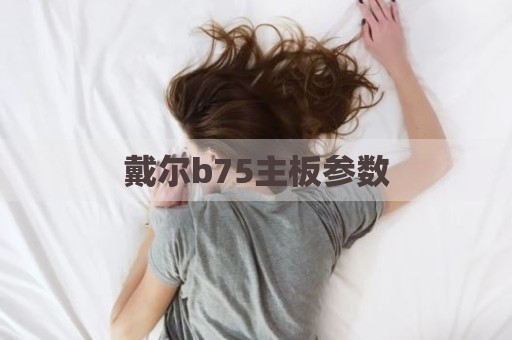 戴尔b75主板参数