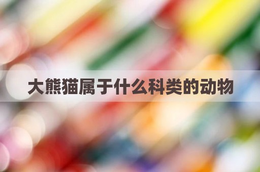 大熊猫属于什么科类的动物