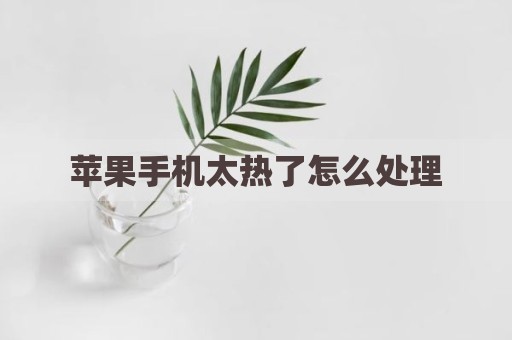 苹果手机太热了怎么处理