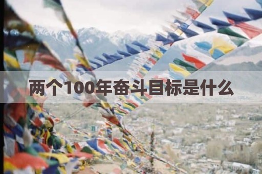 两个100年奋斗目标是什么