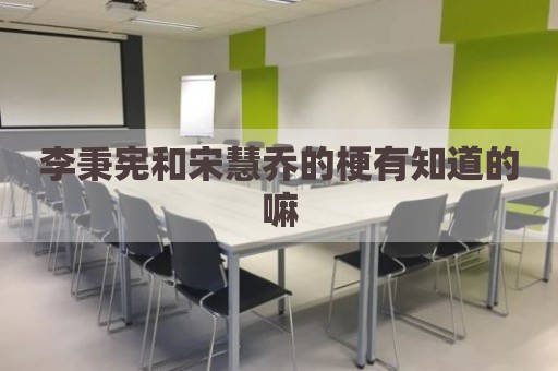 李秉宪和宋慧乔的梗有知道的嘛