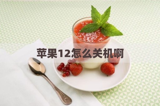 苹果12怎么关机啊