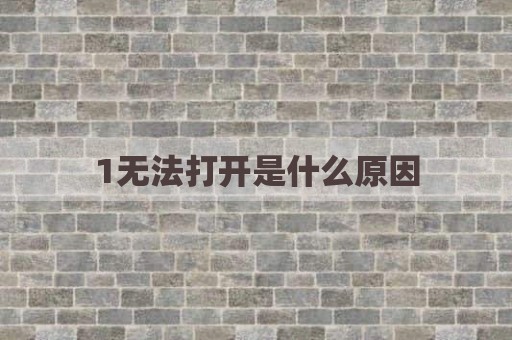 1无法打开是什么原因