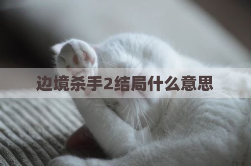 边境杀手2结局什么意思