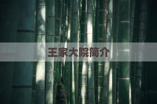 王家大院简介