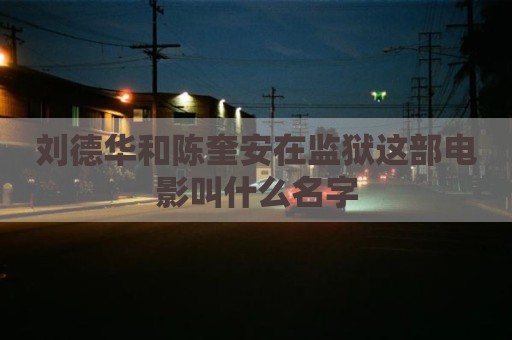 刘德华和陈奎安在监狱这部电影叫什么名字