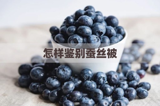 怎样鉴别蚕丝被