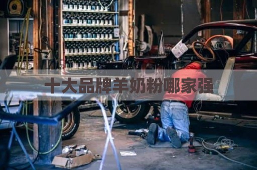 十大品牌羊奶粉哪家强