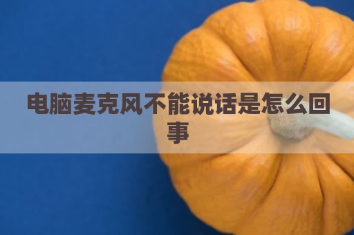 电脑麦克风不能说话是怎么回事