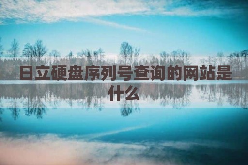 日立硬盘序列号查询的网站是什么