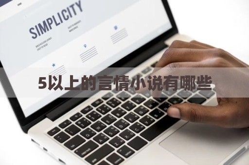5以上的言情小说有哪些