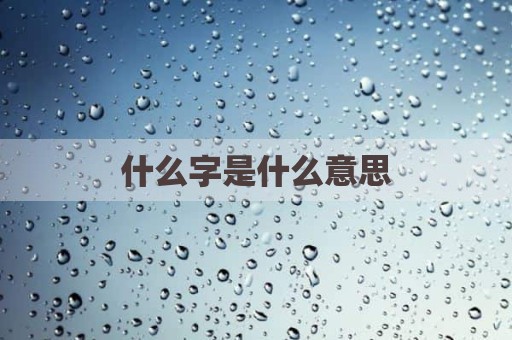 什么字是什么意思