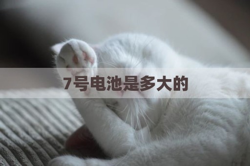 7号电池是多大的
