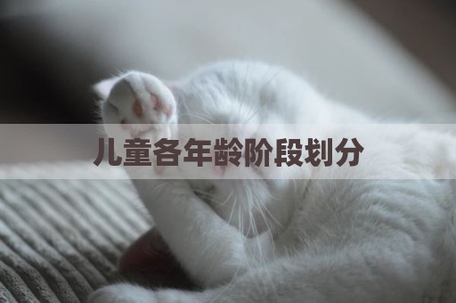 儿童各年龄阶段划分