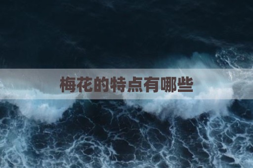 梅花的特点有哪些