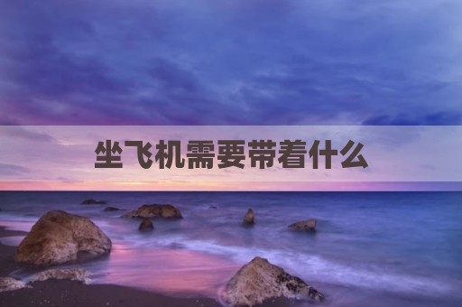 坐飞机需要带着什么