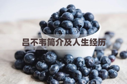 吕不韦简介及人生经历