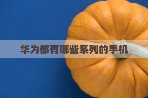 华为都有哪些系列的手机
