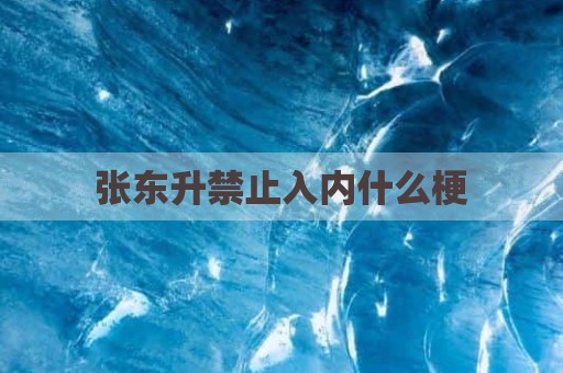 张东升禁止入内什么梗