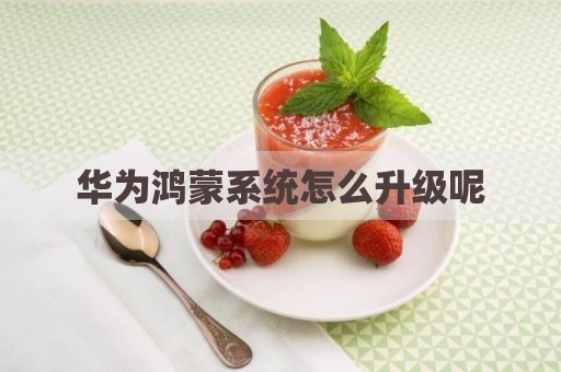 华为鸿蒙系统怎么升级呢
