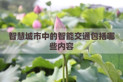 智慧城市中的智能交通包括哪些内容