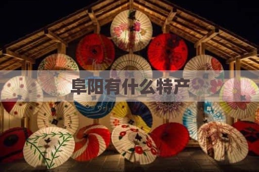阜阳有什么特产