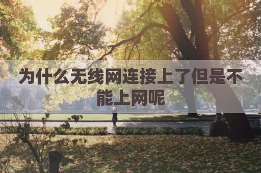 为什么无线网连接上了但是不能上网呢