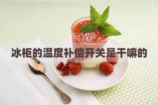 冰柜的温度补偿开关是干嘛的