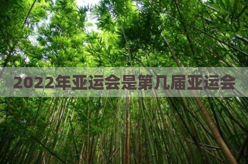 2022年亚运会是第几届亚运会