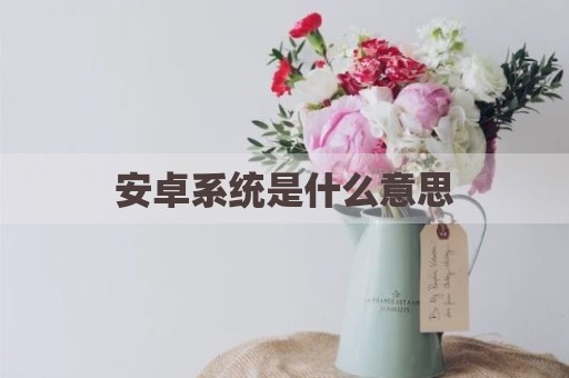 安卓系统是什么意思