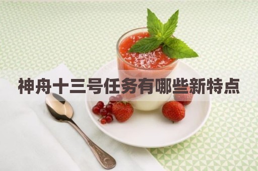 神舟十三号任务有哪些新特点
