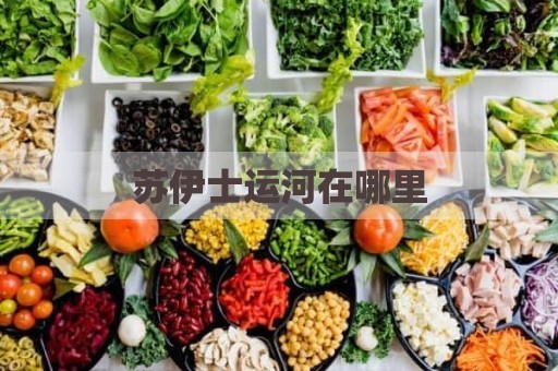苏伊士运河在哪里