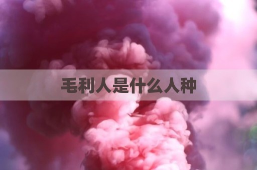 毛利人是什么人种