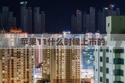 苹果11什么时候上市的
