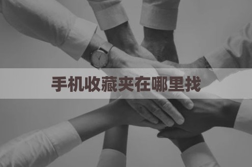 手机收藏夹在哪里找