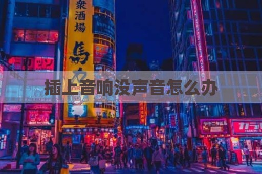 插上音响没声音怎么办