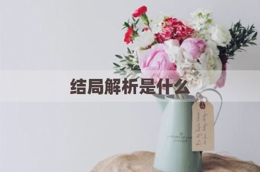 结局解析是什么