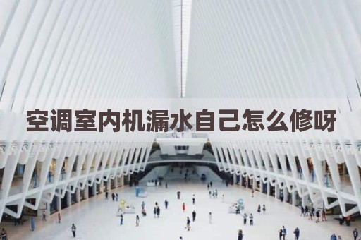 空调室内机漏水自己怎么修呀