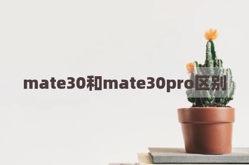 mate30和mate30pro区别