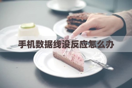手机数据线没反应怎么办